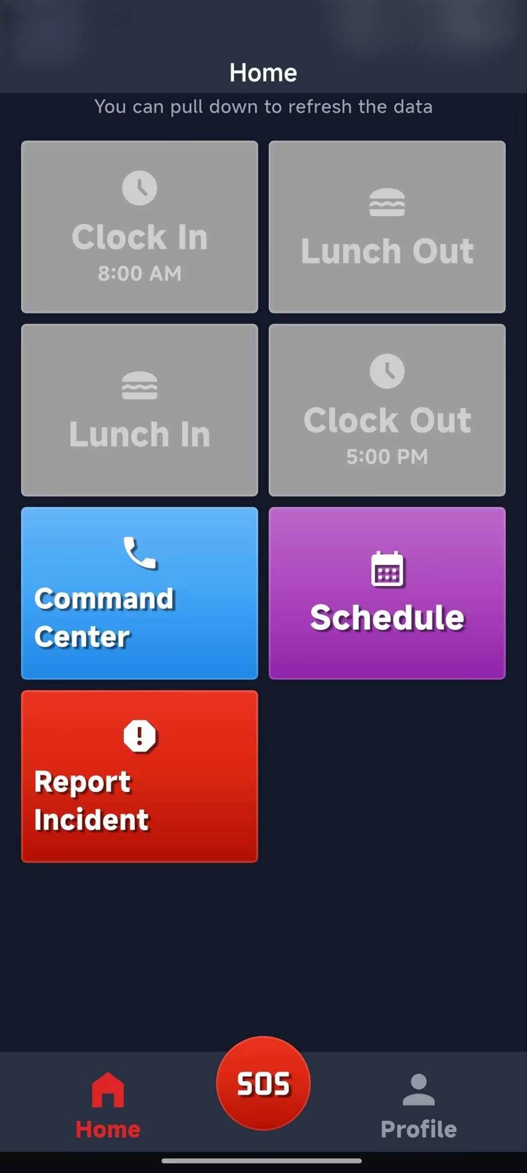 App Dashboard Interface